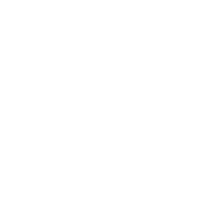 Audiofon