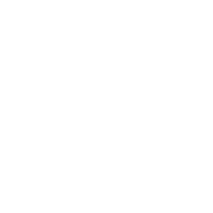 Mercasur